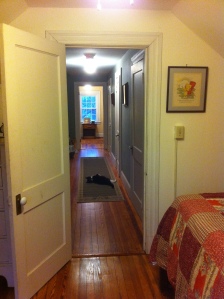 From the Rapunzel, the 3rd floor guest room at Bayfields Bed and Breakfast, looking down the hallway to Hansel and Gretel, the other 3rd floor guest room.  The cat you see on the floor is Kiki, our elusive cat, who only shows up when we have guests.